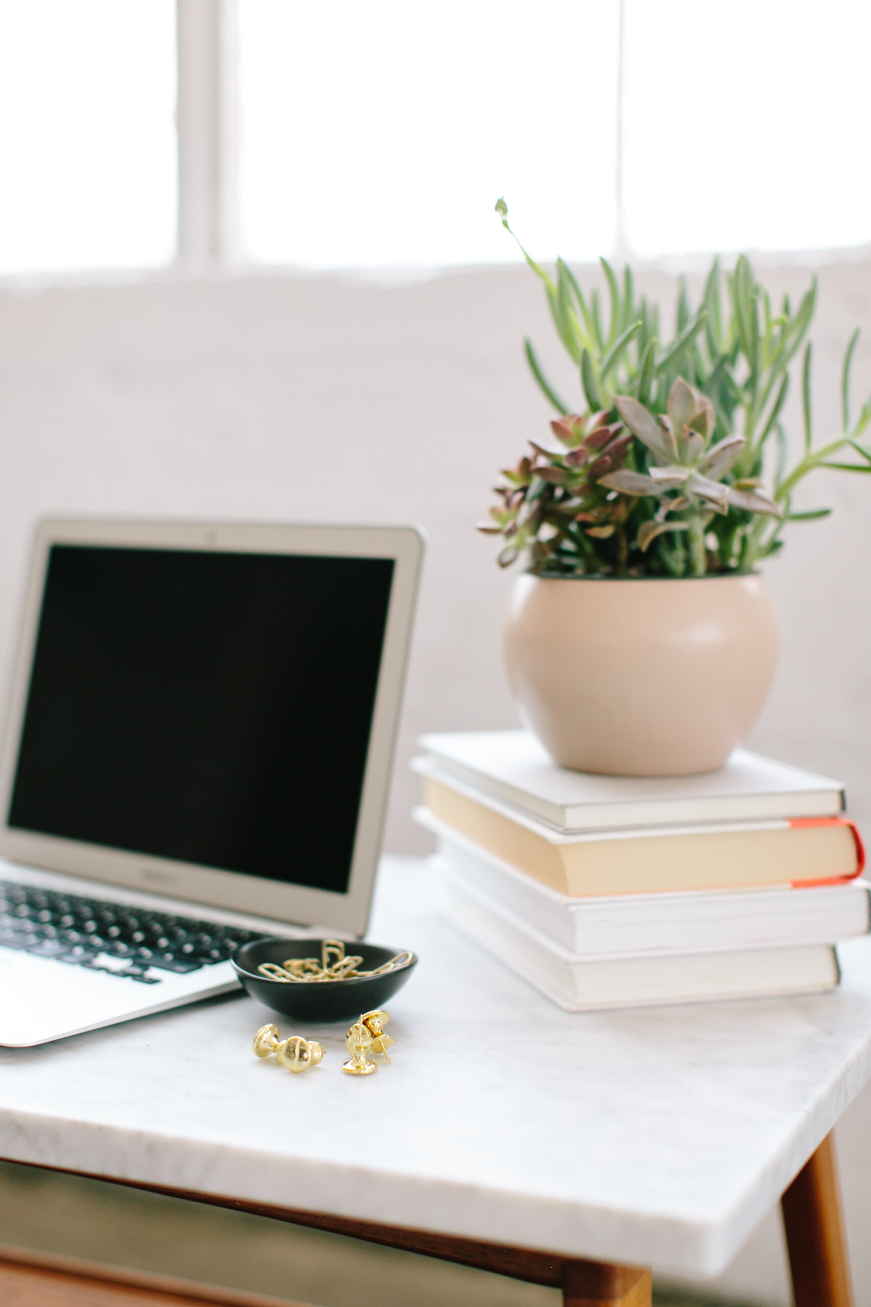 The Best Email Marketing Software